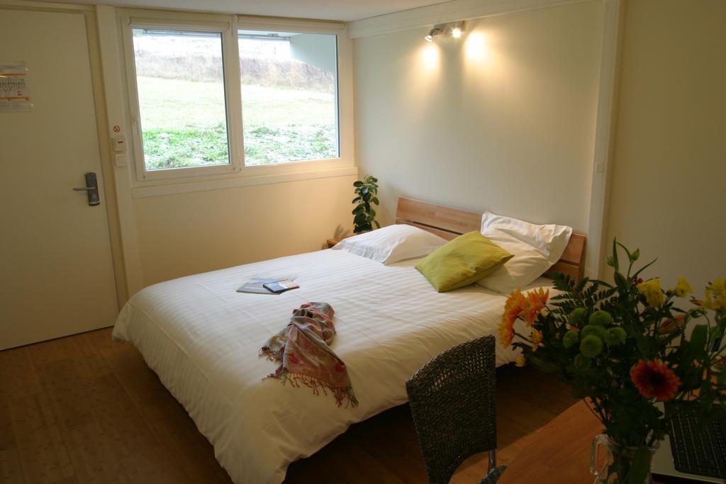 Hotel Pierre Blanche Chatillon-en-Michaille الغرفة الصورة